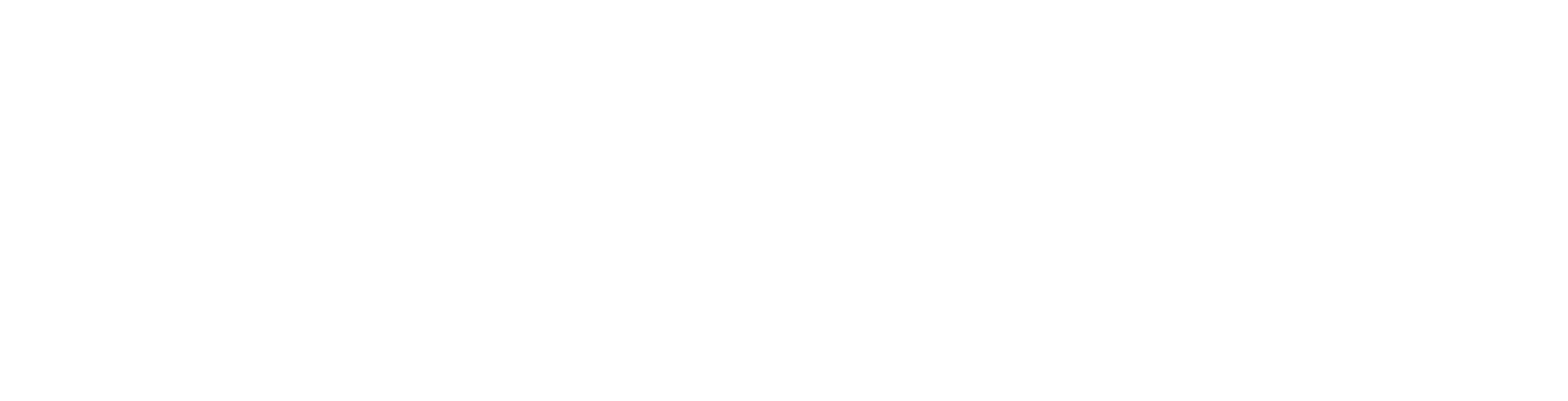 PenízeNet Logo